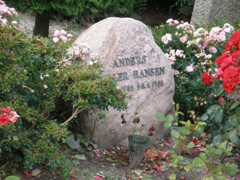 Anders Hansen.JPG